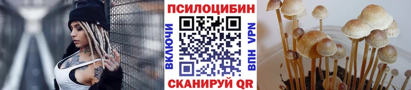 наркотики kraken ссылки Псилоцибиновые грибы Magic Shrooms Емва